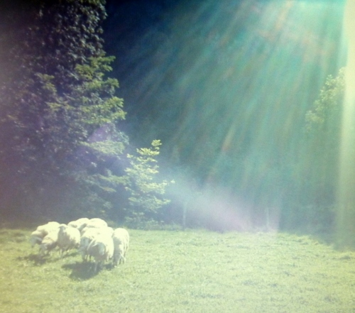 Orbs